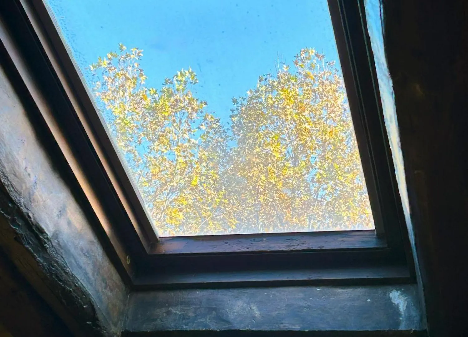 The Gem - Trastevere Cozy Retreat With Pool Rome 0*,